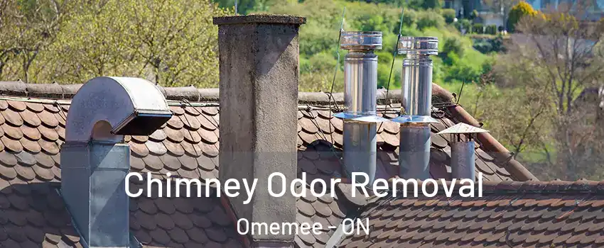  Chimney Odor Removal Omemee - ON