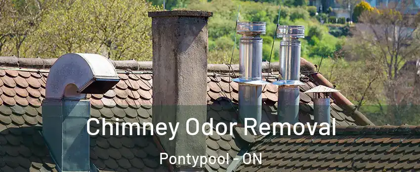  Chimney Odor Removal Pontypool - ON