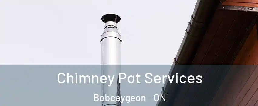  Chimney Pot Services Bobcaygeon - ON