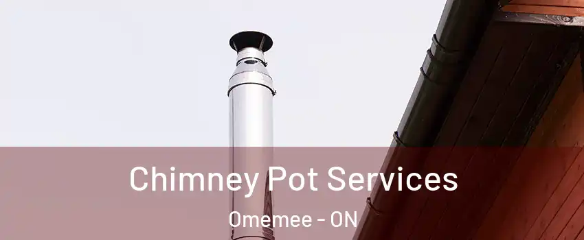  Chimney Pot Services Omemee - ON