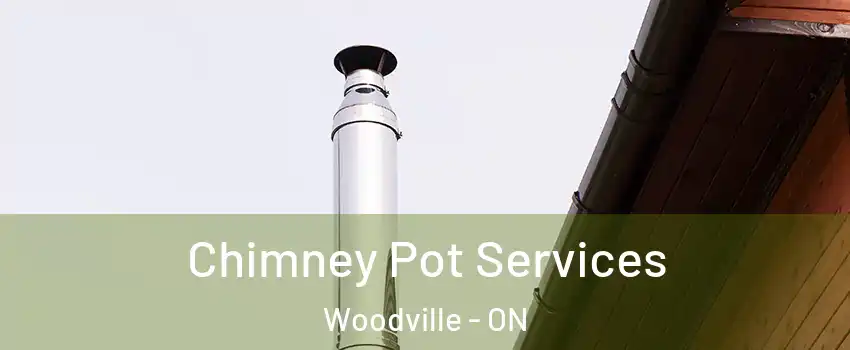  Chimney Pot Services Woodville - ON