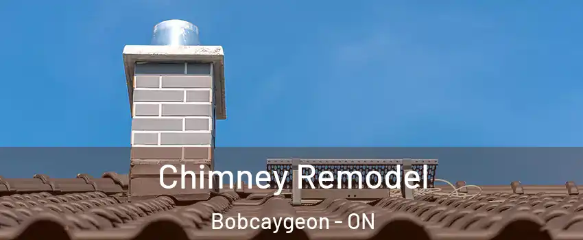  Chimney Remodel Bobcaygeon - ON