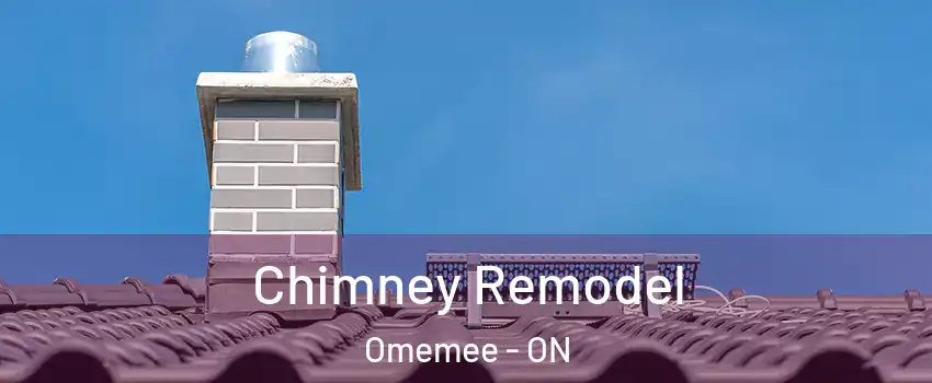  Chimney Remodel Omemee - ON