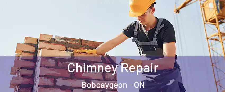  Chimney Repair Bobcaygeon - ON