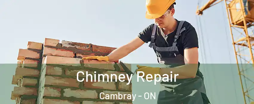  Chimney Repair Cambray - ON