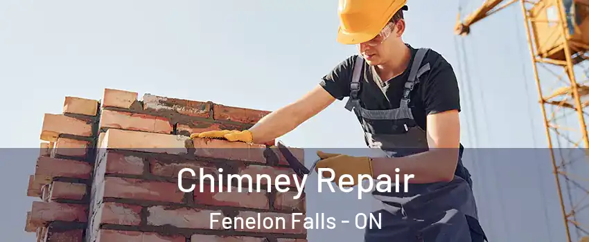  Chimney Repair Fenelon Falls - ON