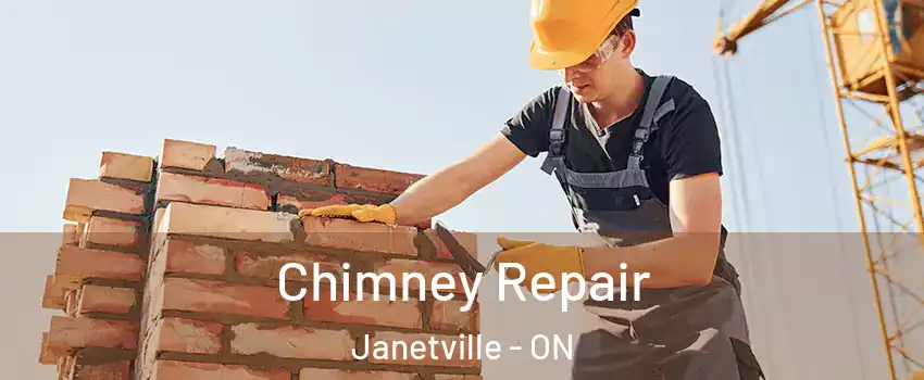  Chimney Repair Janetville - ON