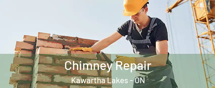  Chimney Repair Kawartha Lakes - ON