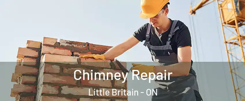  Chimney Repair Little Britain - ON