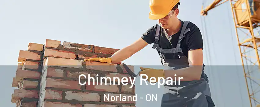  Chimney Repair Norland - ON