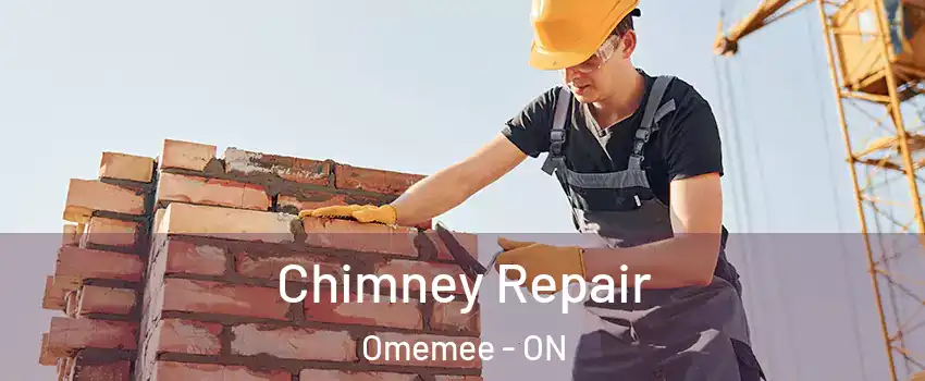  Chimney Repair Omemee - ON