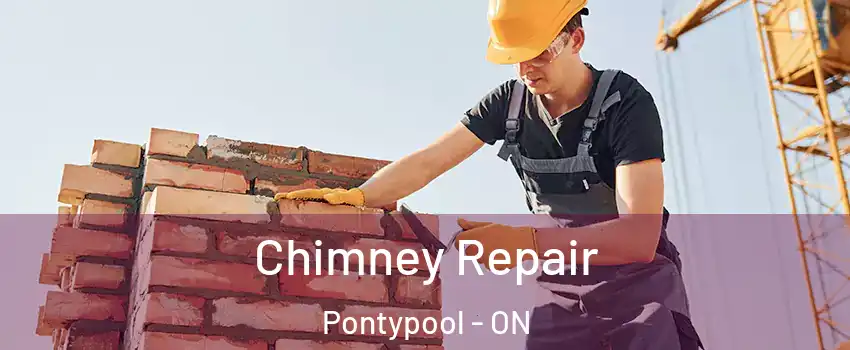 Chimney Repair Pontypool - ON