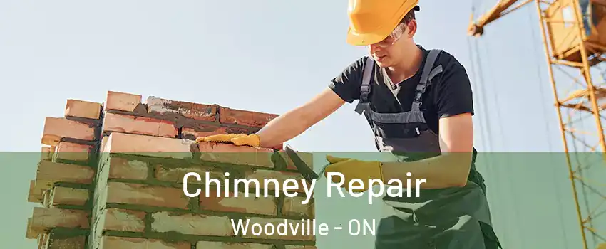  Chimney Repair Woodville - ON