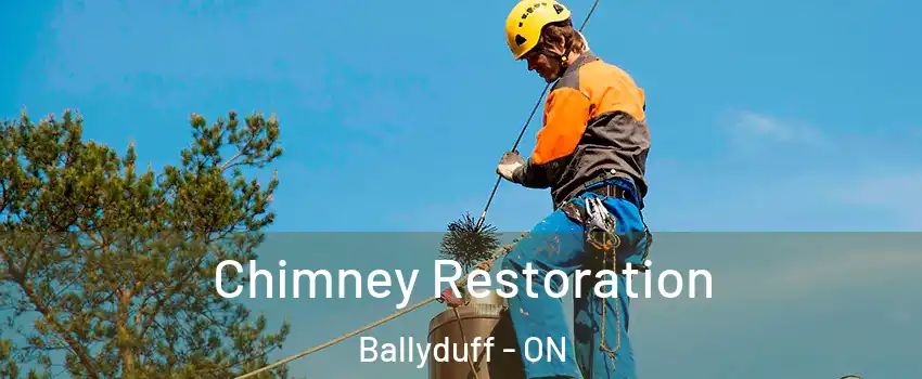  Chimney Restoration Ballyduff - ON