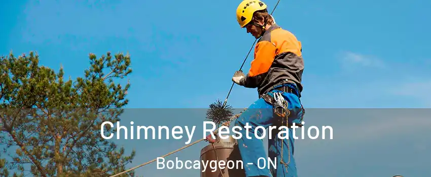  Chimney Restoration Bobcaygeon - ON