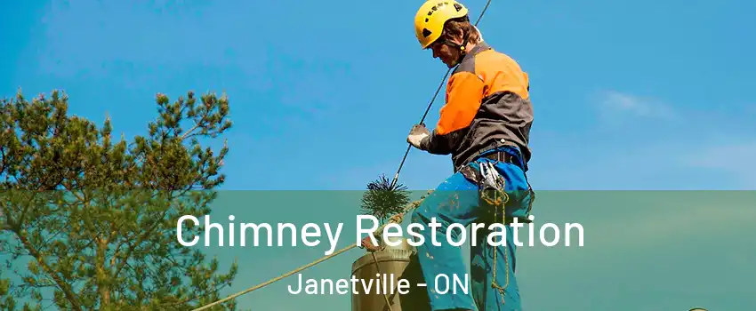  Chimney Restoration Janetville - ON