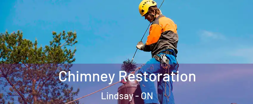  Chimney Restoration Lindsay - ON