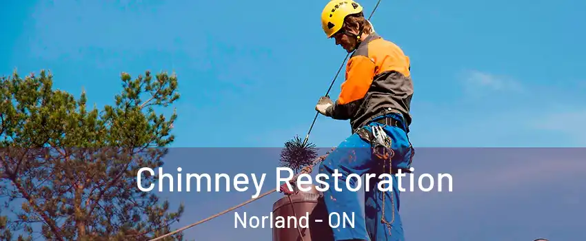  Chimney Restoration Norland - ON