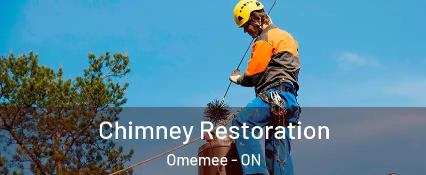  Chimney Restoration Omemee - ON