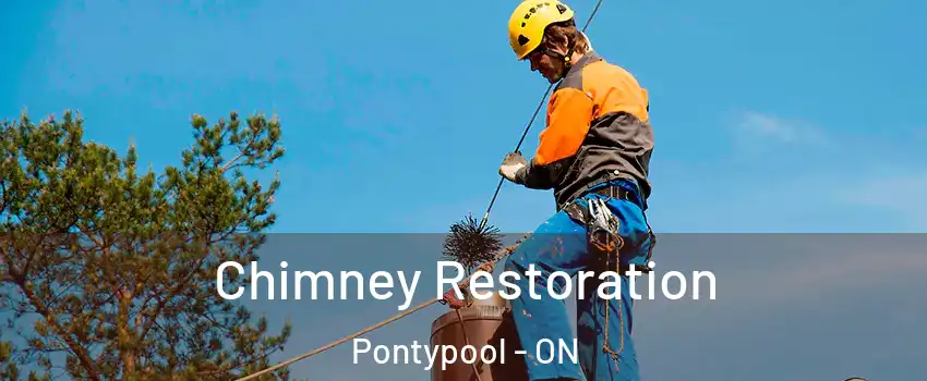  Chimney Restoration Pontypool - ON