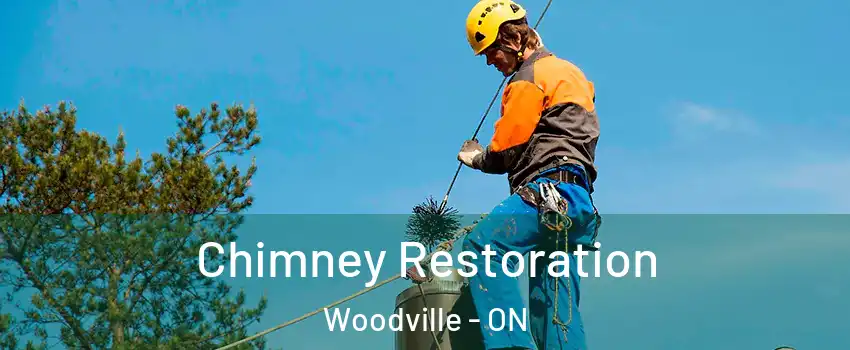  Chimney Restoration Woodville - ON