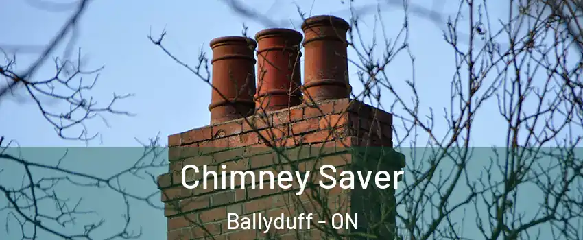 Chimney Saver Ballyduff - ON