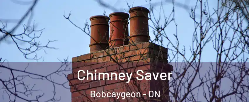  Chimney Saver Bobcaygeon - ON