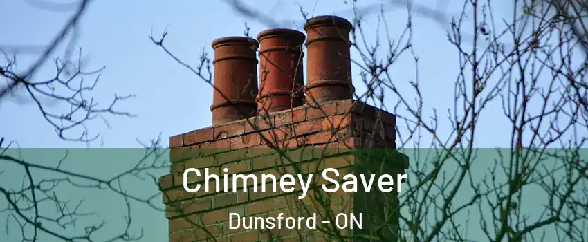  Chimney Saver Dunsford - ON
