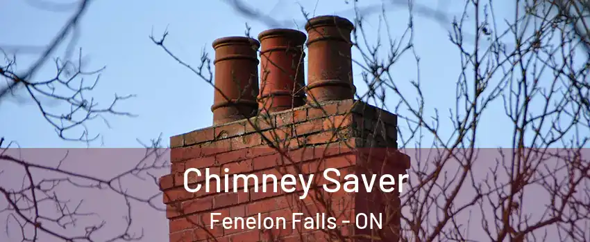  Chimney Saver Fenelon Falls - ON
