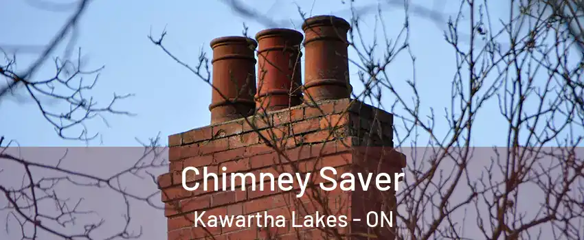  Chimney Saver Kawartha Lakes - ON