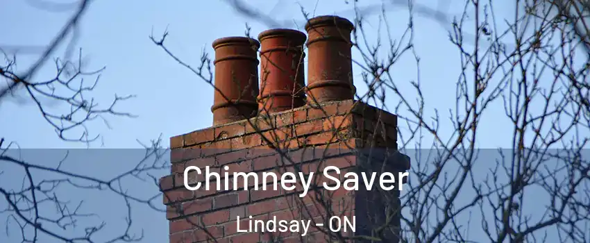  Chimney Saver Lindsay - ON