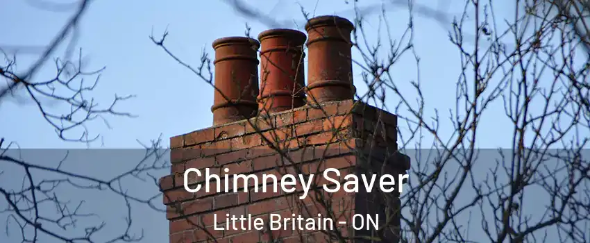  Chimney Saver Little Britain - ON