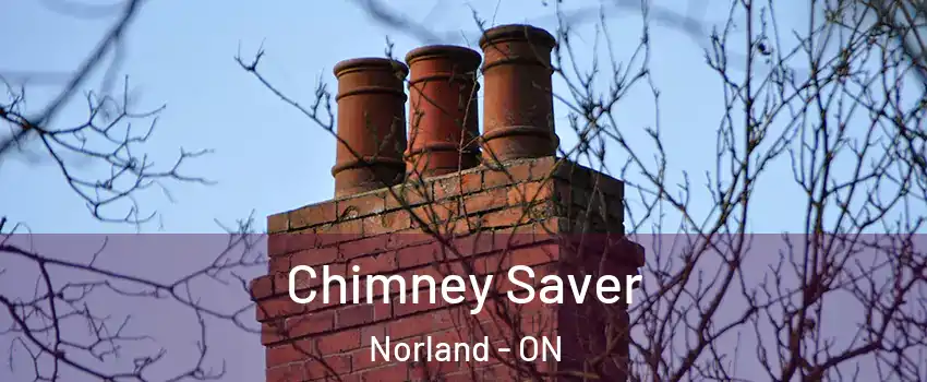  Chimney Saver Norland - ON