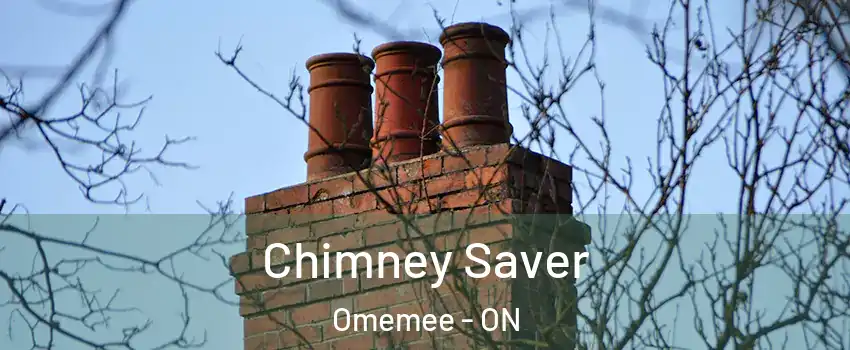  Chimney Saver Omemee - ON