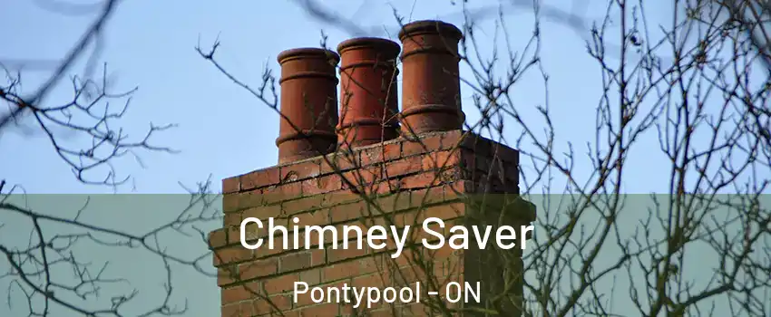  Chimney Saver Pontypool - ON