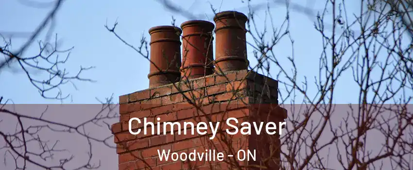  Chimney Saver Woodville - ON