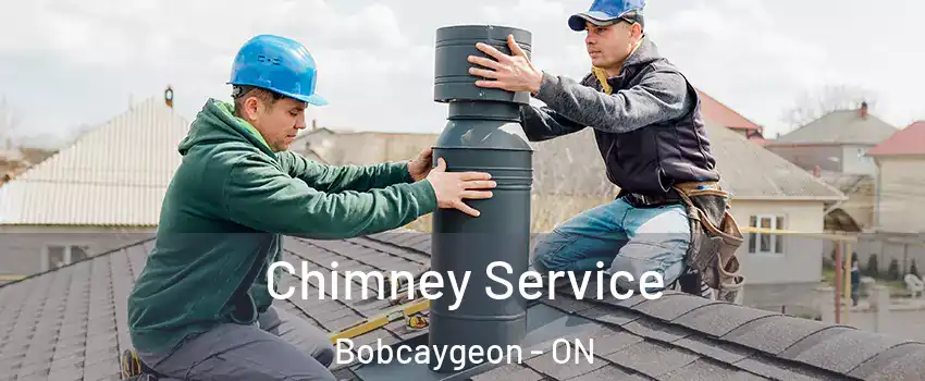  Chimney Service Bobcaygeon - ON