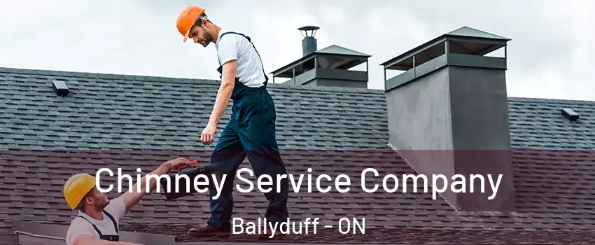  Chimney Service Company Ballyduff - ON
