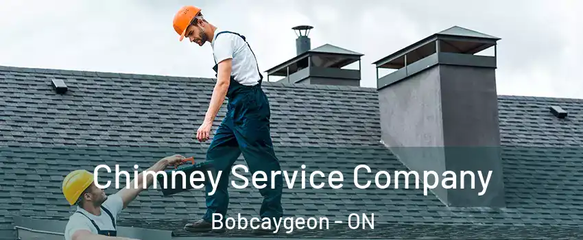  Chimney Service Company Bobcaygeon - ON