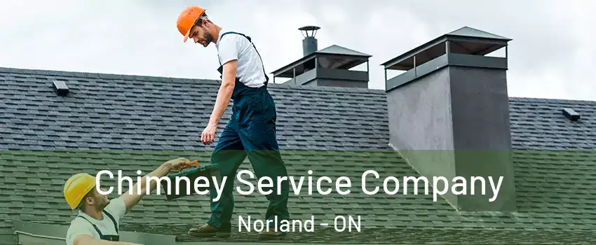  Chimney Service Company Norland - ON