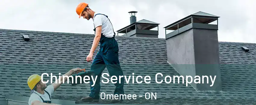  Chimney Service Company Omemee - ON