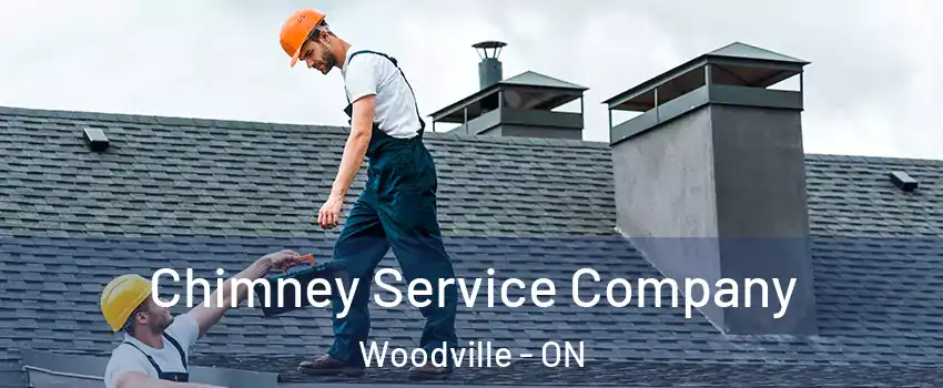  Chimney Service Company Woodville - ON