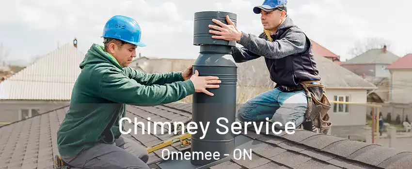 Chimney Service Omemee - ON