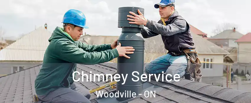  Chimney Service Woodville - ON