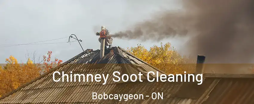  Chimney Soot Cleaning Bobcaygeon - ON