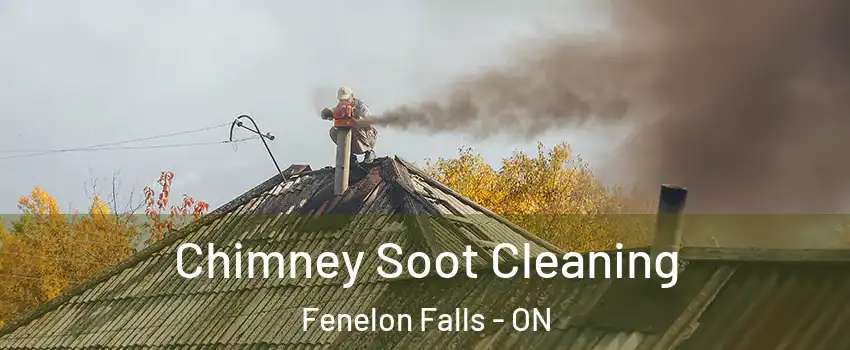  Chimney Soot Cleaning Fenelon Falls - ON