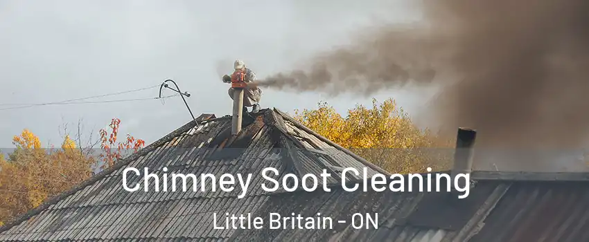  Chimney Soot Cleaning Little Britain - ON