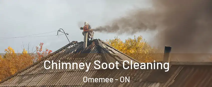 Chimney Soot Cleaning Omemee - ON