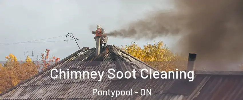  Chimney Soot Cleaning Pontypool - ON