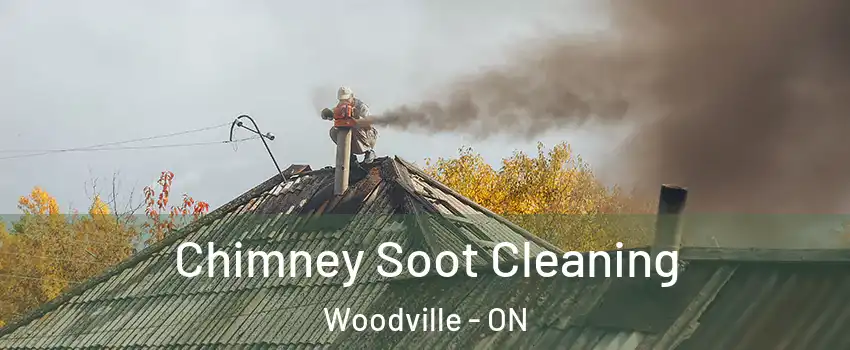  Chimney Soot Cleaning Woodville - ON